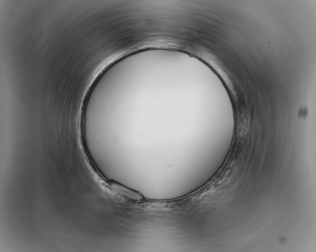 X0000098130861200805011320