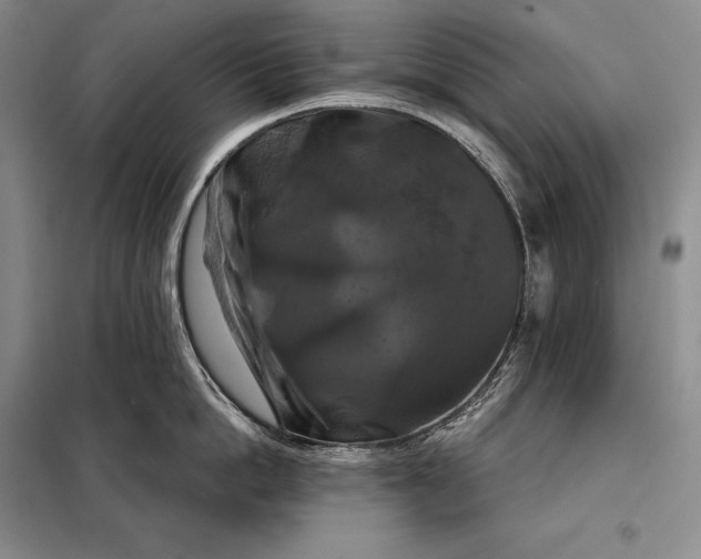 X0000098130862200805011320