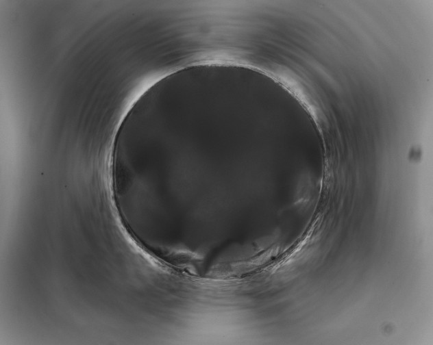 X0000098130863200805011320