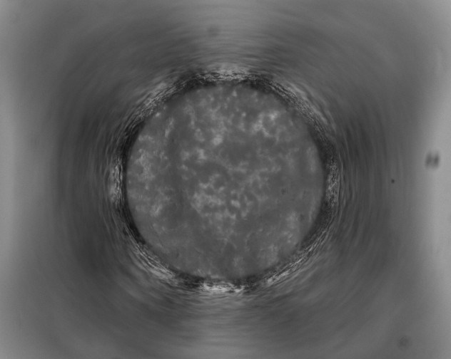 X0000098130866200805011319
