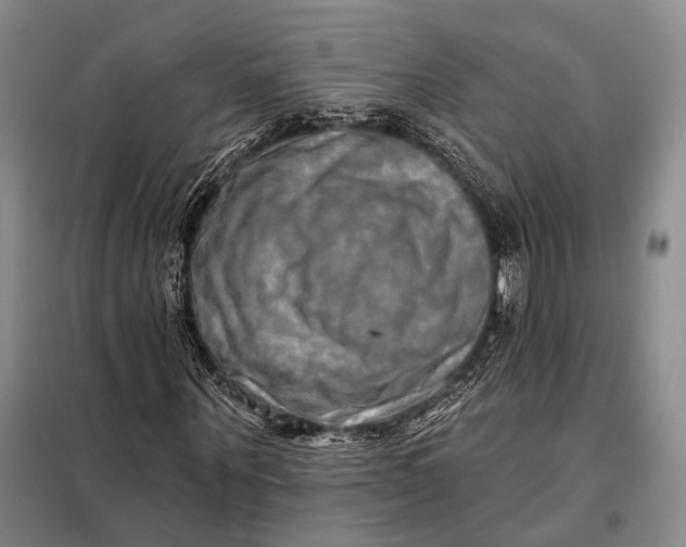 X0000098130867200805011319