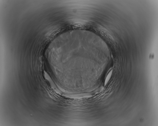 X0000098130868200805011319