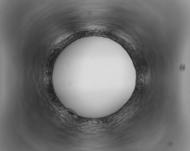 X0000098130869200805011319