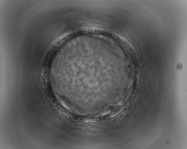 X0000098130870200805011319