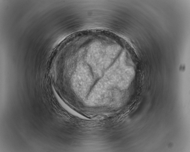 X0000098130871200805011319