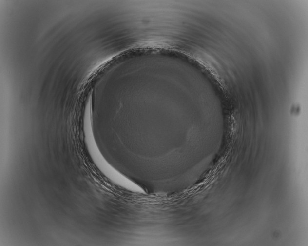 X0000098130872200805011319