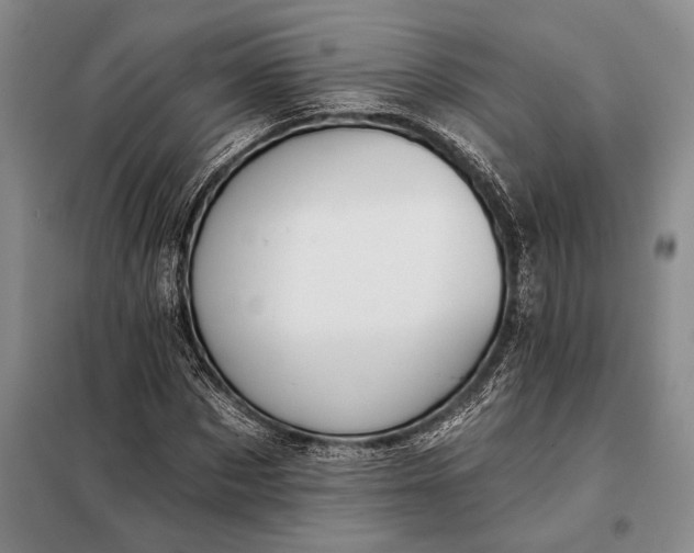 X0000098130873200805011319