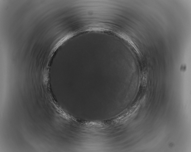 X0000098130874200805011319