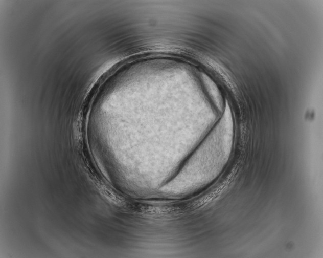 X0000098130875200805011319