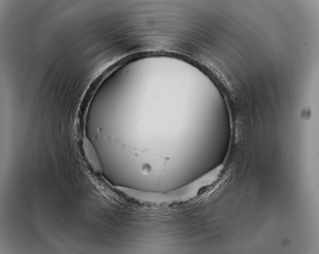 X0000098130876200805011319