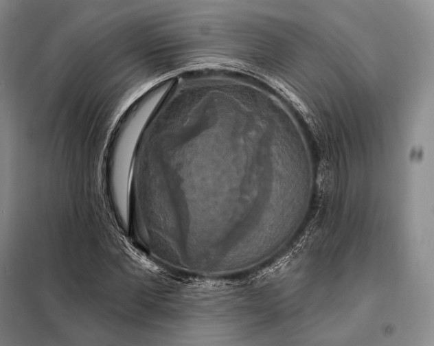 X0000098130877200805011319