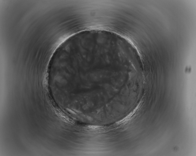 X0000098130879200805011319