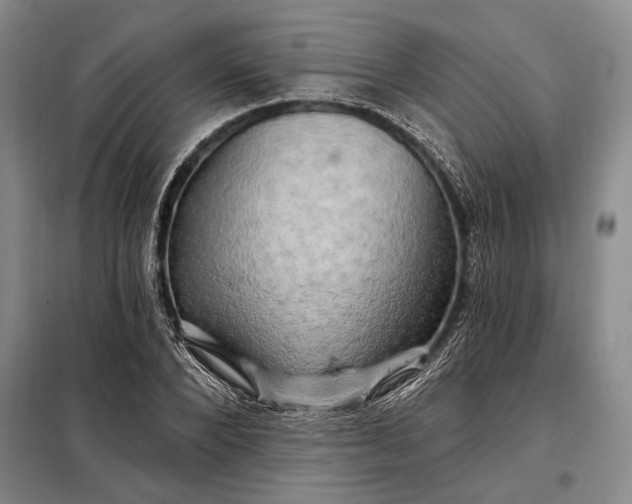 X0000098130880200805011319