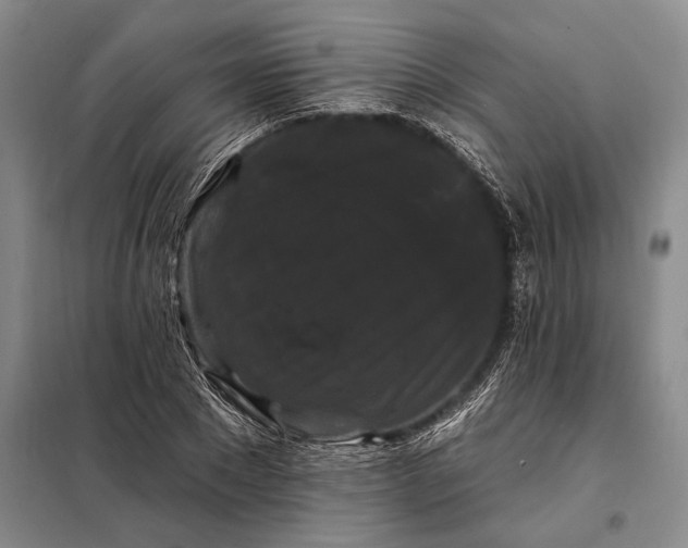 X0000098130881200805011319