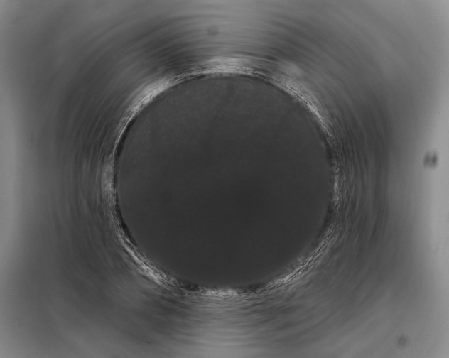X0000098130882200805011319