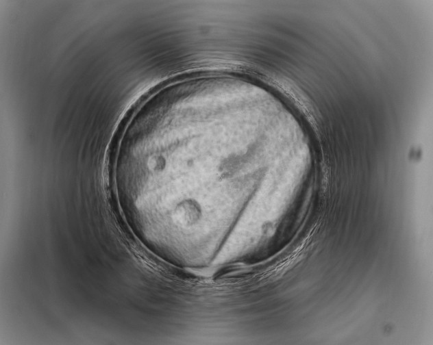 X0000098130883200805011319