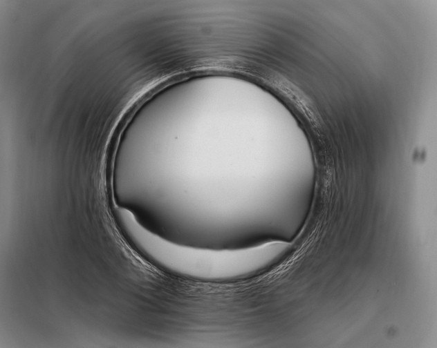 X0000098130884200805011319