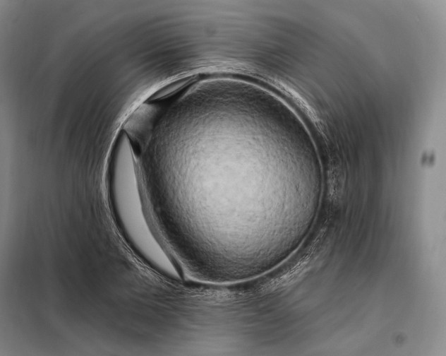 X0000098130885200805011319