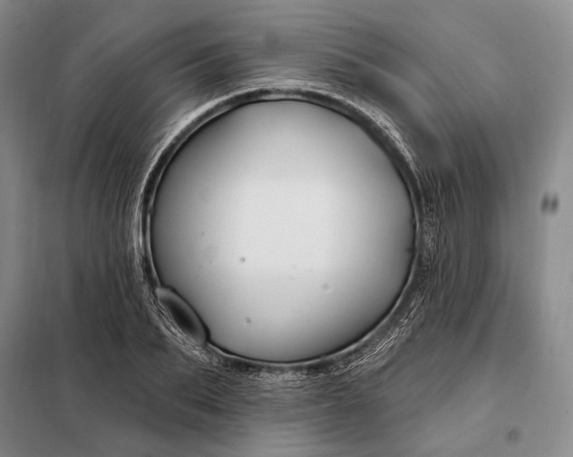 X0000098130887200805011319