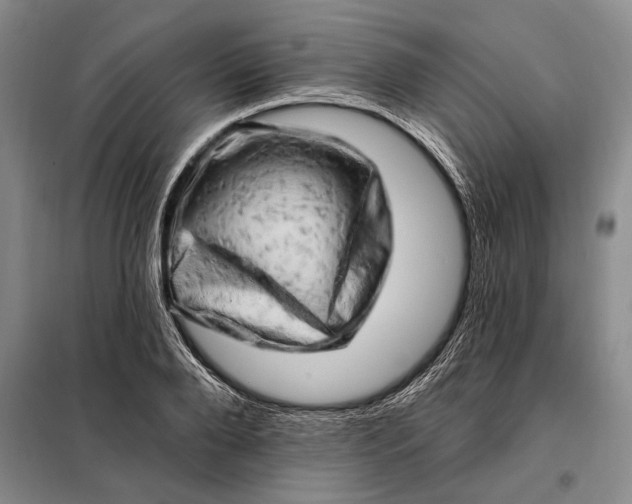 X0000098130888200805011319