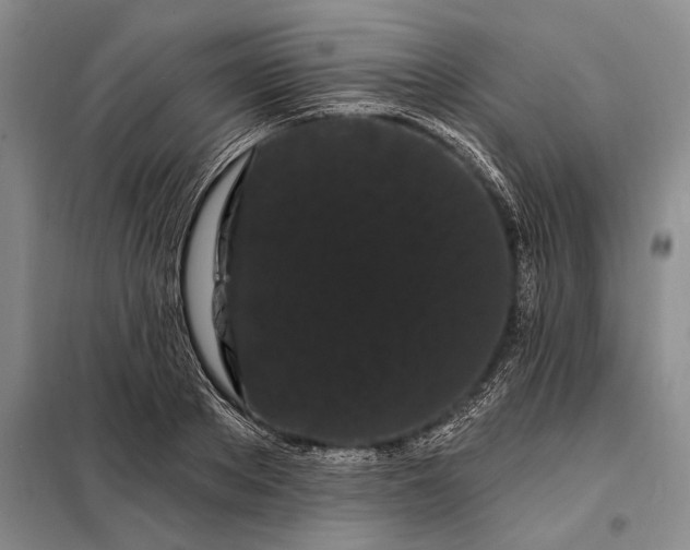 X0000098130889200805011319