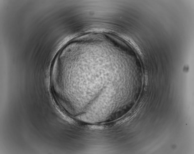 X0000098130890200805011319