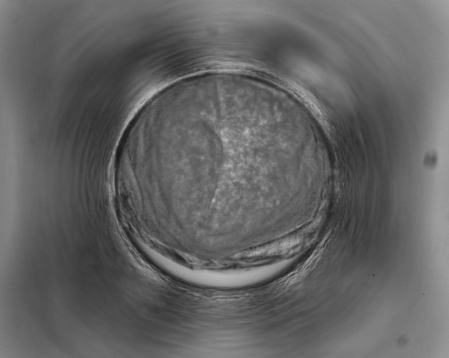 X0000098130891200805011319