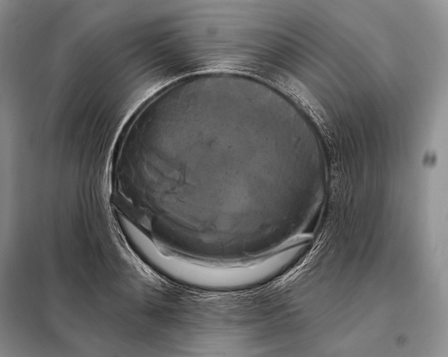X0000098130892200805011319