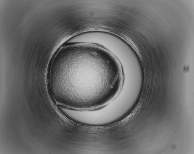 X0000098130893200805011319