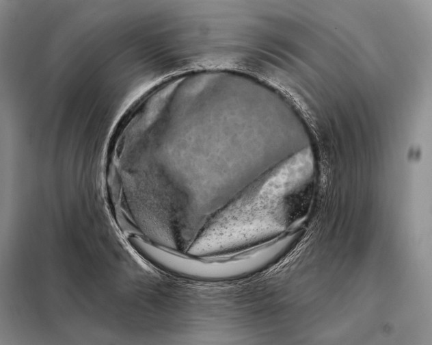 X0000098130894200805011319
