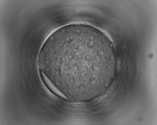 X0000098130895200805011319