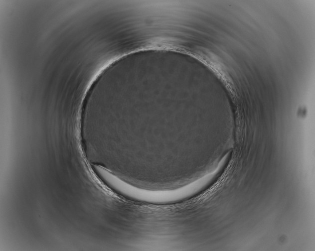 X0000098130896200805011319