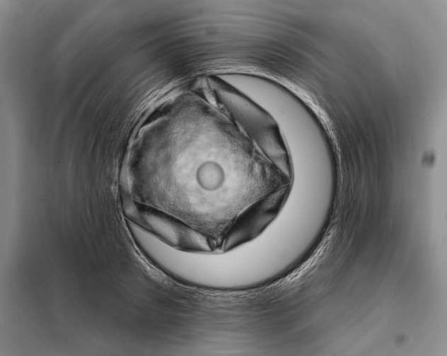 X0000098130897200805011319