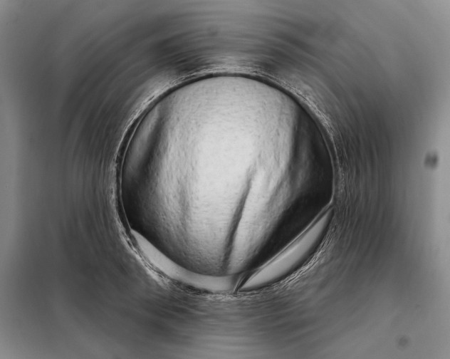 X0000098130898200805011319