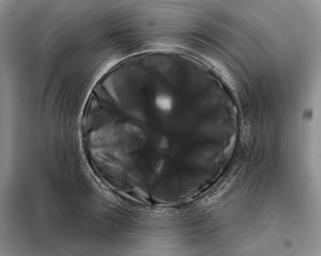 X0000098130899200805011319