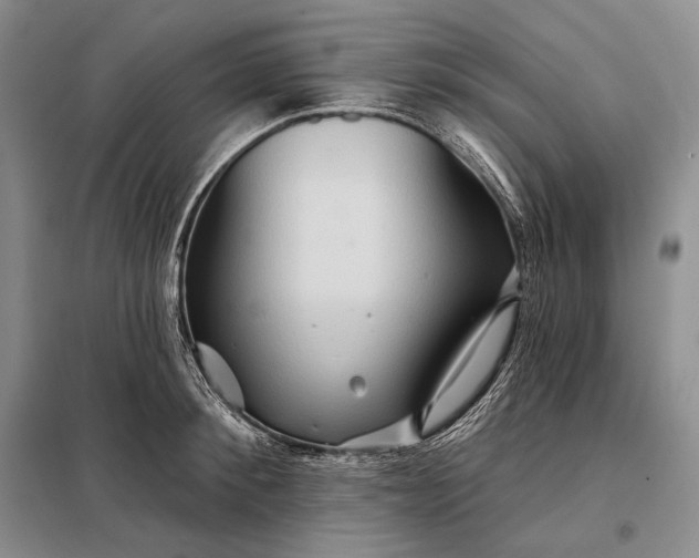 X0000098130900200805011319
