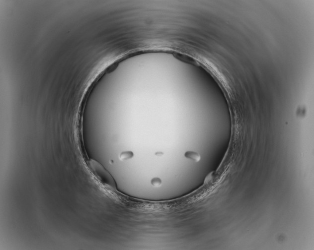 X0000098130901200805011319