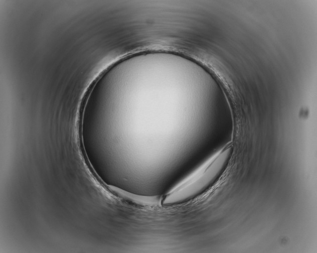X0000098130902200805011319