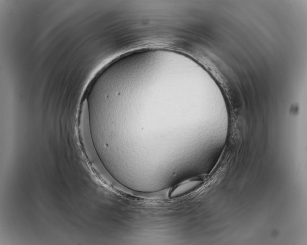 X0000098130904200805011319