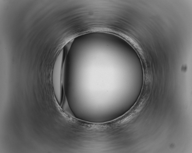 X0000098130905200805011319