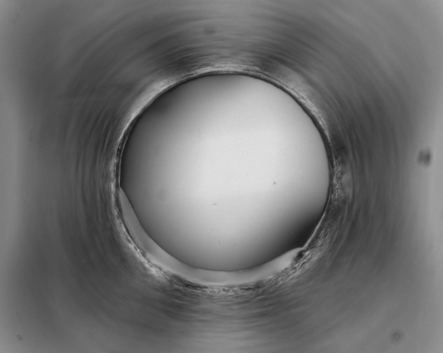 X0000098130906200805011318