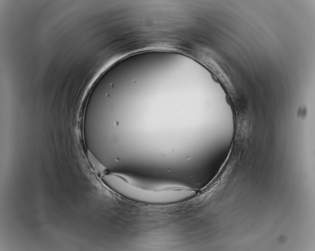 X0000098130908200805011318