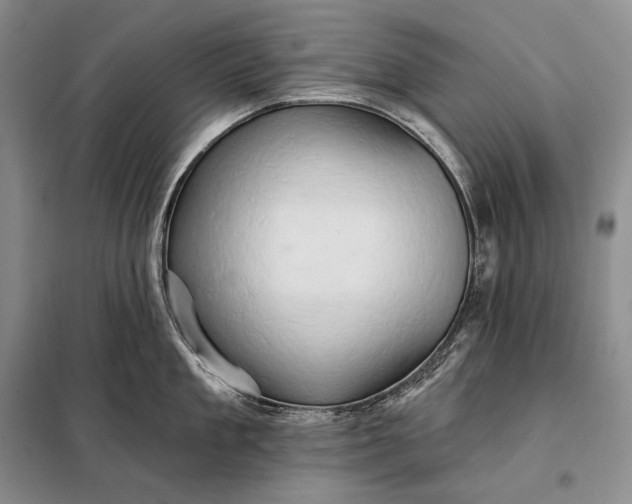X0000098130909200805011318