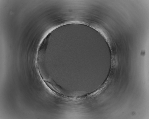 X0000098130910200805011318