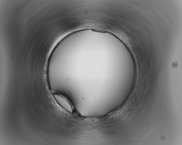 X0000098130912200805011318