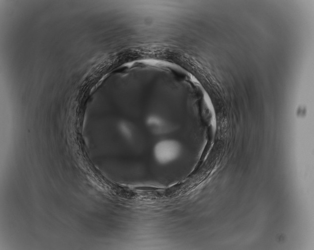 X0000098130913200805011318