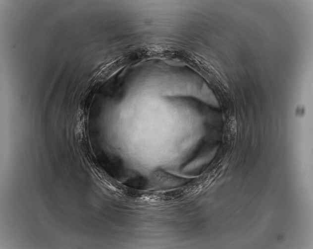X0000098130914200805011318