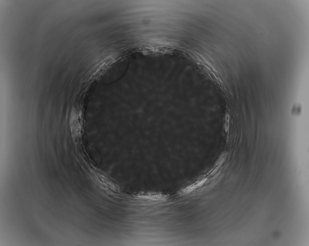 X0000098130915200805011318