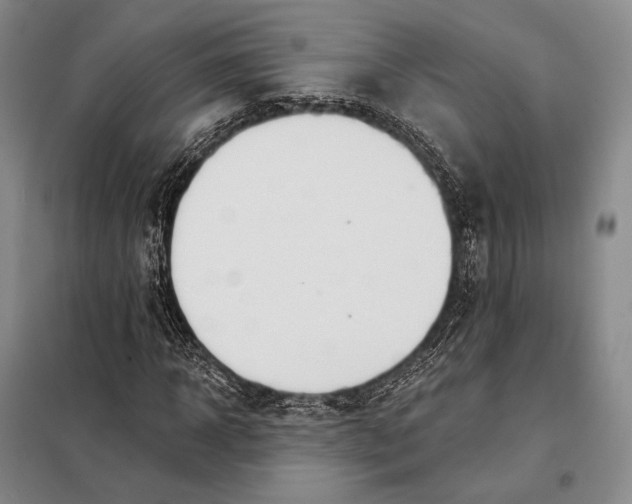 X0000098130918200805011318