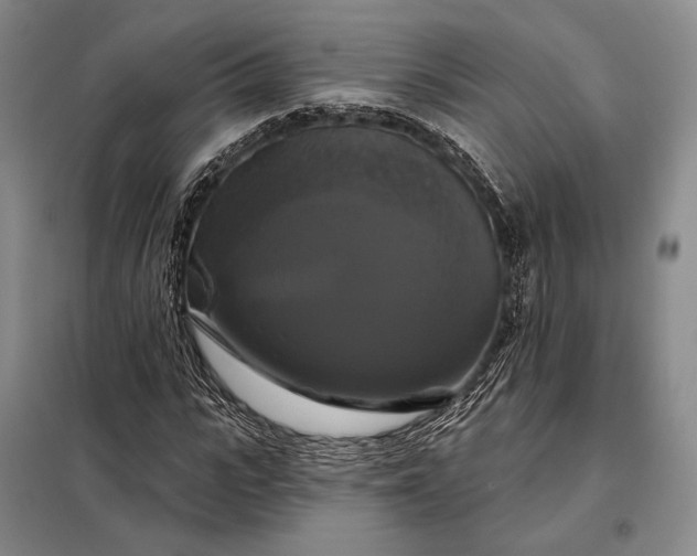 X0000098130919200805011318